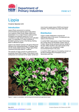 Lippia Invasive Species Unit Introduction More Humid Coastal Areas of NSW and Tropical Australia