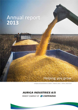 Annual Report 2013