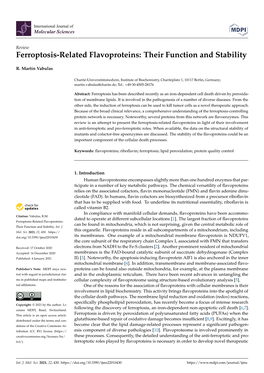 Ferroptosis-Related Flavoproteins: Their Function and Stability