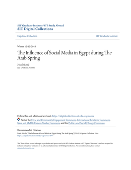 The Influence of Social Media in Egypt During the Arab Spring