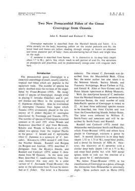 Two New Pomacanthid.Fishes of the Genus Centropyge from Oceania