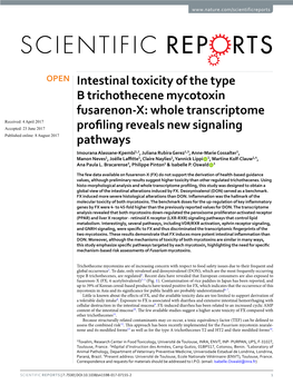 Intestinal Toxicity of the Type B Trichothecene Mycotoxin Fusarenon-X