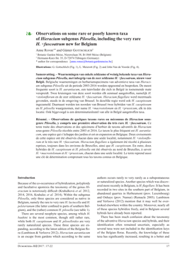 Observations on Some Rare Or Poorly Known Taxa of Hieracium Subgenus Pilosella, Including the Very Rare H