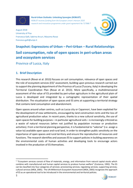 S-LUC2 Soil Consumption, Role of Open Spaces In
