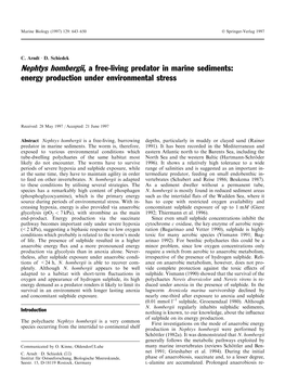 Nephtys Hombergii, a Free-Living Predator in Marine Sediments: Energy Production Under Environmental Stress