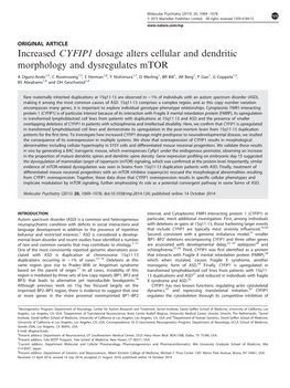 Increased CYFIP1 Dosage Alters Cellular and Dendritic Morphology and Dysregulates Mtor