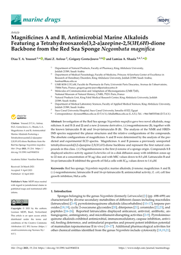 Magnificines a and B, Antimicrobial Marine Alkaloids Featuring a Tetrahydrooxazolo[3,2-A]