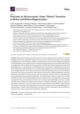 Pericytes in Microvessels: from “Mural” Function to Brain and Retina Regeneration