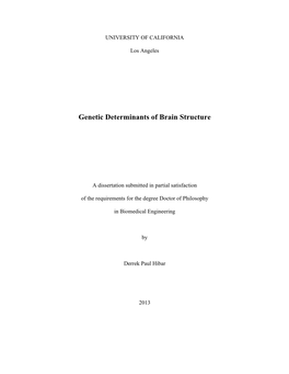 Genetic Determinants of Brain Structure