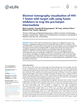 Electron Tomography Visualization Of