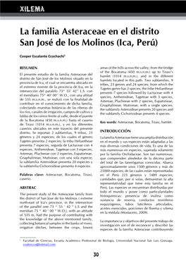 La Familia Asteraceae En El Distrito San José De Los Molinos (Ica, Perú)