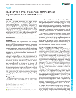 Fluid Flow As a Driver of Embryonic Morphogenesis Margo Daems*, Hanna M