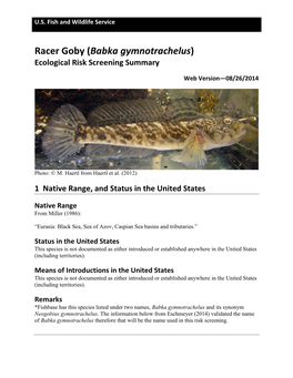 Racer Goby (Babka Gymnotrachelus) Ecological Risk Screening Summary