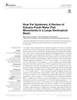 How Far Upstream: a Review of Estuary-Fresh Water Fish Movements in a Large Neotropical Basin