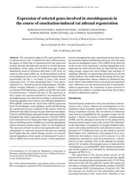 Expression of Selected Genes Involved in Steroidogenesis in the Course of Enucleation-Induced Rat Adrenal Regeneration