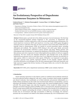 An Evolutionary Perspective of Dopachrome Tautomerase Enzymes in Metazoans