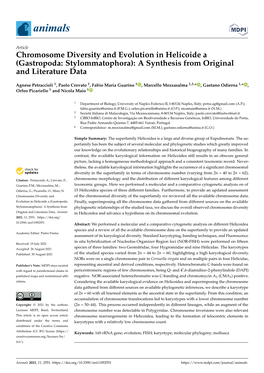 Chromosome Diversity and Evolution in Helicoide a (Gastropoda: Stylommatophora): a Synthesis from Original and Literature Data