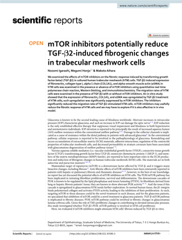 Mtor Inhibitors Potentially Reduce TGF-Β2-Induced Fibrogenic