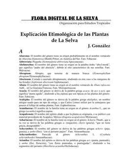 Flora Digital De La Selva Explicación Etimológica De Las Plantas De La