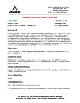 FBXO11 (C) Antibody, Rabbit Polyclonal