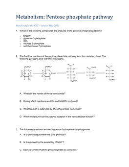 Pentose Phosphate Pathway