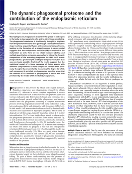 The Dynamic Phagosomal Proteome and the Contribution of the Endoplasmic Reticulum