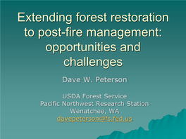 Tree Size and Species Influence Snag Retention Following Severe Wildfire In