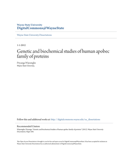 Genetic and Biochemical Studies of Human Apobec Family of Proteins Priyanga Wijesinghe Wayne State University