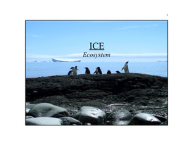 ICE Ecosystem 2