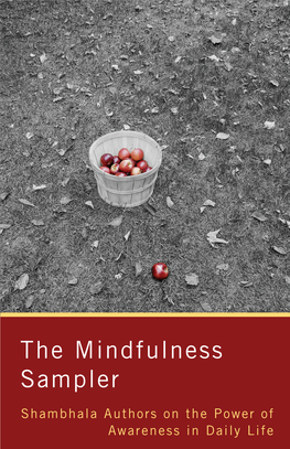 The Mindfulness Sampler