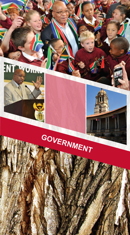 Pocket Guide to South Africa 2010/2011: Government