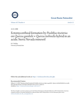 Ectomycorrhizal Formation by Pisolithus Tinctorius on Quercus Gambelii × Quercus Turbinella Hybrid in an Acidic Sierra Nevada Minesoil R