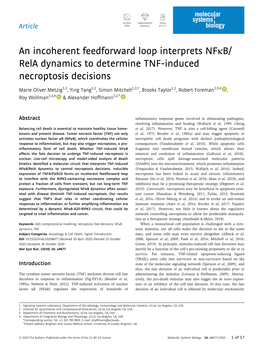 An Incoherent Feedforward Loop Interprets Nfκb/Rela Dynamics to Determine TNF‐Induced Necroptosis Decisions