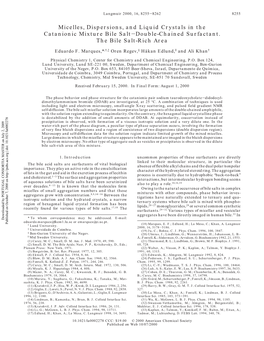 Micelles, Dispersions, and Liquid Crystals in the Catanionic Mixture Bile Saltdouble-Chained Surfactant. the Bile Salt-Rich Area