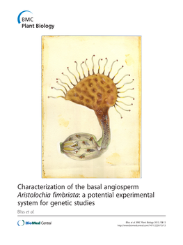 Characterization of the Basal Angiosperm Aristolochia Fimbriata: a Potential Experimental System for Genetic Studies Bliss Et Al