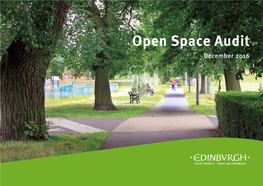 Open Space Audit 2016