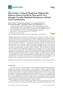 Macrocybin, a Natural Mushroom Triglyceride, Reduces Tumor Growth in Vitro and in Vivo Through Caveolin-Mediated Interference with the Actin Cytoskeleton