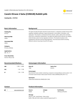 Casein Kinase 2 Beta (CSNK2B) Rabbit Pab