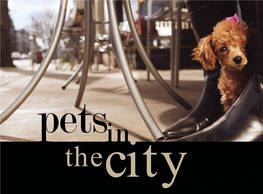 Pets in the City’ Is an Initiative of the Petcare Information & Advisory Service (PIAS) ISBN: 978-0-9808092-0-6 2010 What Is “Pets in the City”?