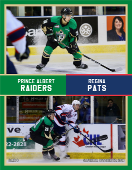 Prince Albert Raiders