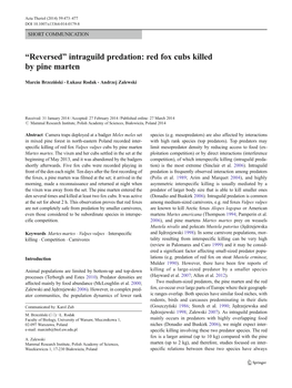 “Reversed” Intraguild Predation: Red Fox Cubs Killed by Pine Marten