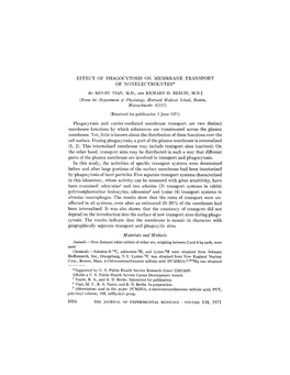 EFFECT of PHAGOCYTOSIS on MEMBRANE TRANSPORT of NONELECTROLYTES* by MIN-FU TSAN, M.D., and RICHARD D. BERLIN, M.D.:~ (From the D