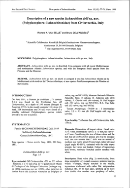 Description of a New Species Ischnochiton Dolii Sp. Nov. (Polyplacophora: Ischnochitonidae) from Civitavecchia, Italy