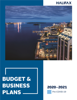 Budget & Business Plans