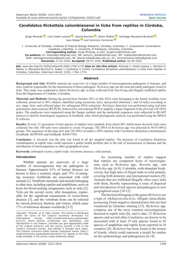 Candidatus Rickettsia Colombianensi in Ticks from Reptiles in Córdoba, Colombia