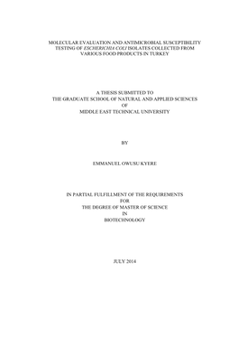 Molecular Evaluation and Antimicrobial Susceptibility Testing of Escherichia Coli Isolates Collected from Various Food Products in Turkey