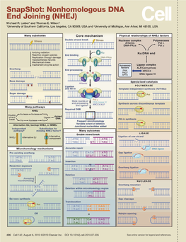 Snapshot: Nonhomologous DNA End Joining (NHEJ) Michael R