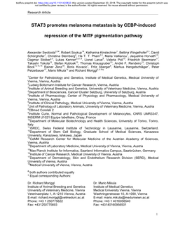 STAT3 Promotes Melanoma Metastasis by CEBP-Induced Repression of the MITF Pigmentation Pathway