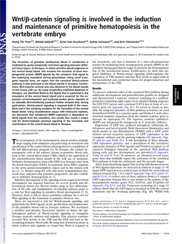 Wnt/Β-Catenin Signaling Is Involved in the Induction and Maintenance of Primitive Hematopoiesis in the Vertebrate Embryo