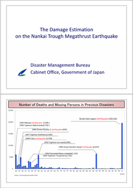 The Damage Estimation on the Nankai Trough Megathrust